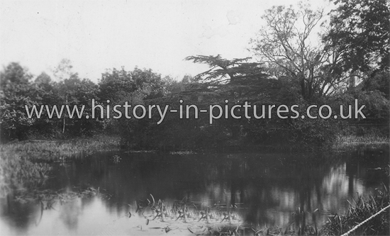 Grove Pond, Tiptree, Essex. 1916